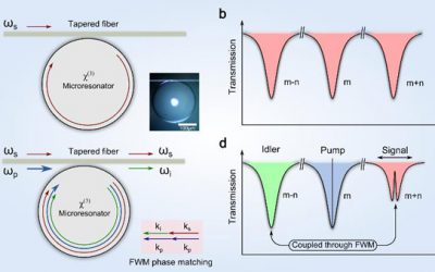 密院科研团队在《Light: Science & Applications》上发表重要研究成果