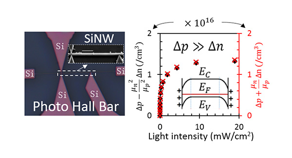 JI research team reveals the photo gain mechanism of nanoscale photoconductors