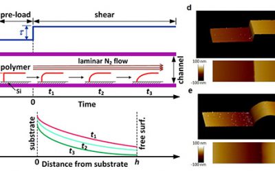 Measurement of spatially distributed rheological properties of supported thin polymer films