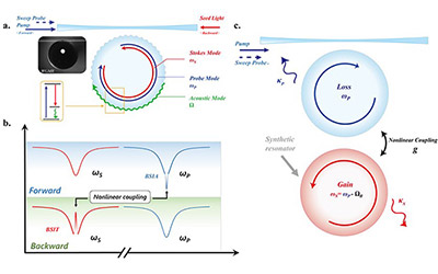 JI research team realizes synthesis anti-PT symmetry system in a single optical microcavity