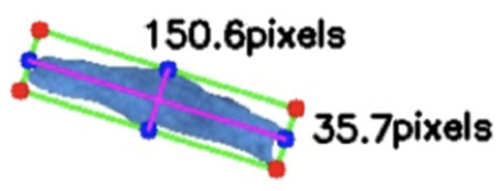 Fig. 5 Width of Tobacco in Unit Pixel