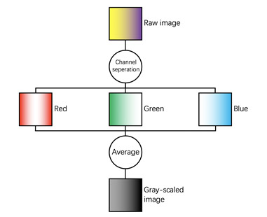 Fig.3 Flow chart of image grayscaling