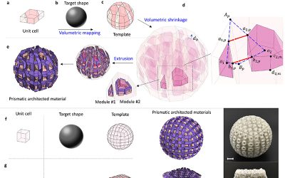 JI Professor proposes inverse design of 3D reconfigurable curvilinear modular origami structures