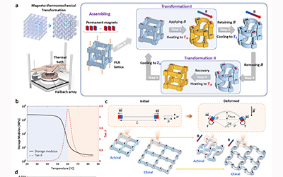 JI professor proposes magneto-thermomechanically reprogrammable mechanical metamaterials