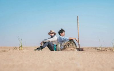 My Campus Life | Singaporean student joins green efforts in China’s vast Tengger Desert