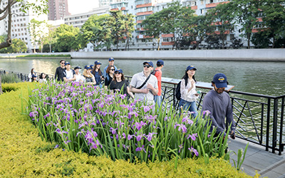 密院中外师生解锁Citywalk，用脚步感受上海魅力